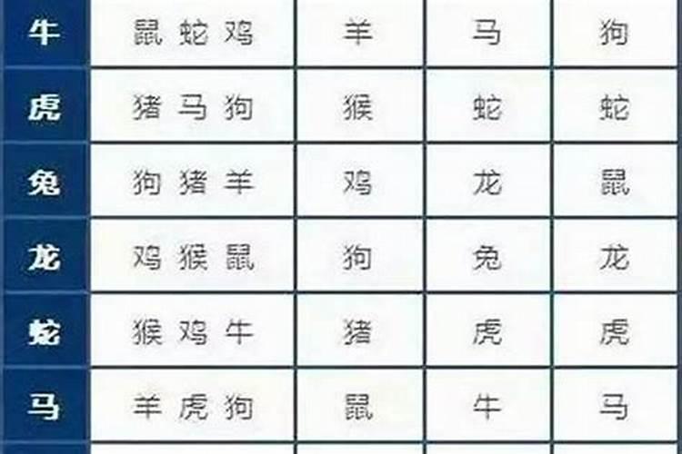 这3个生肖配对，婚后生活从苦到甜，从穷到富到幸福