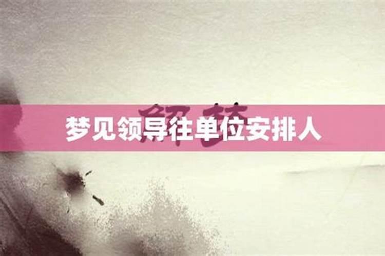 梦见领导给安排任务