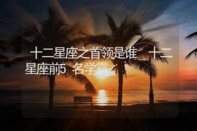 谁是12星座老大标准答案？