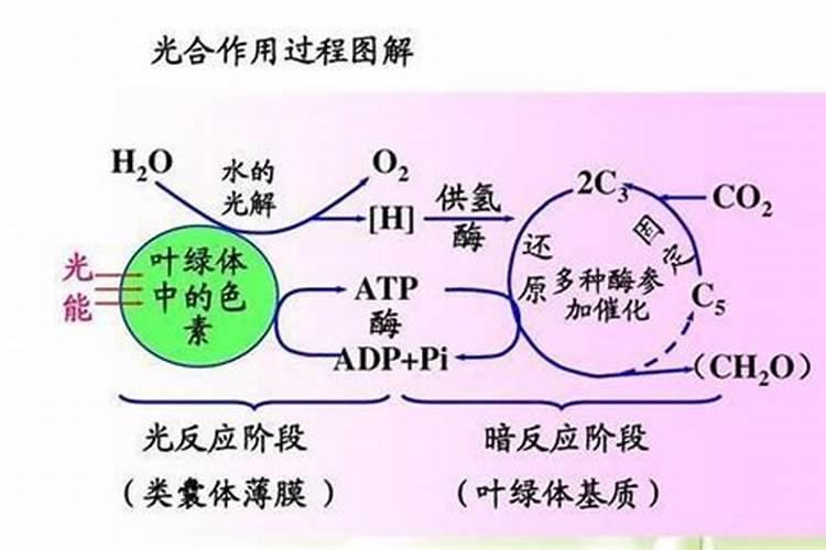 过了立冬是阴历几月