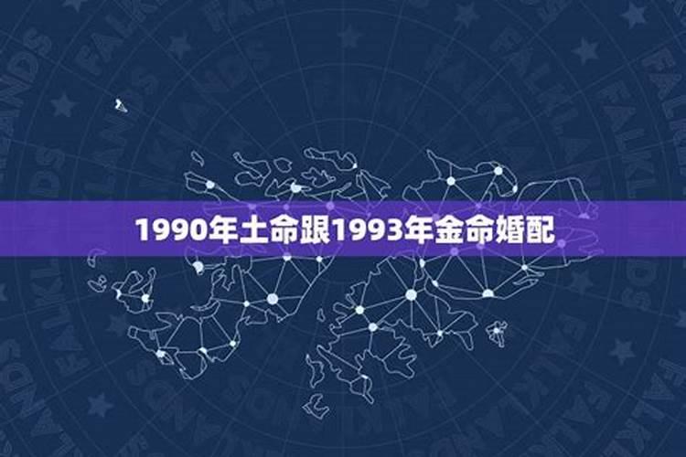 1990年属马是啥命