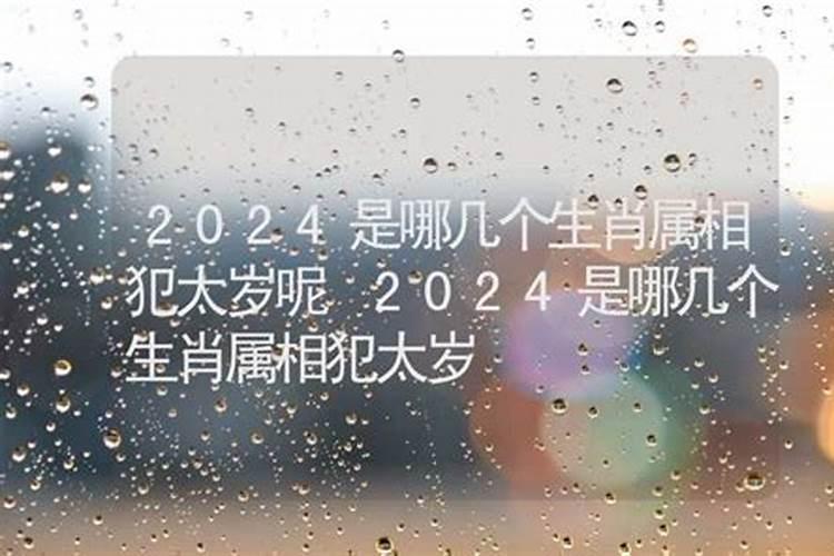 风雨是哪几个生肖