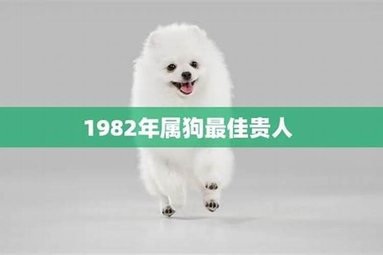 1982年属狗人贵人是谁呢