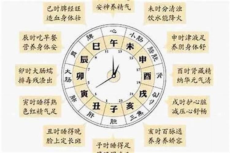 生肖的更换是什么时候