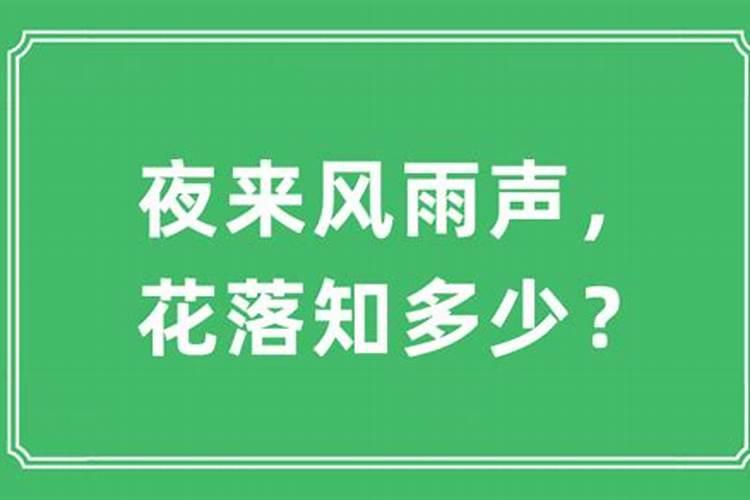 风雨是指什么生肖