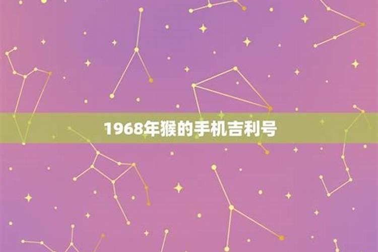 1968年的属猴人