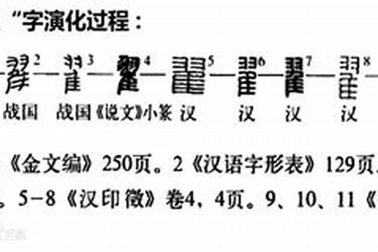 翟字五行属性