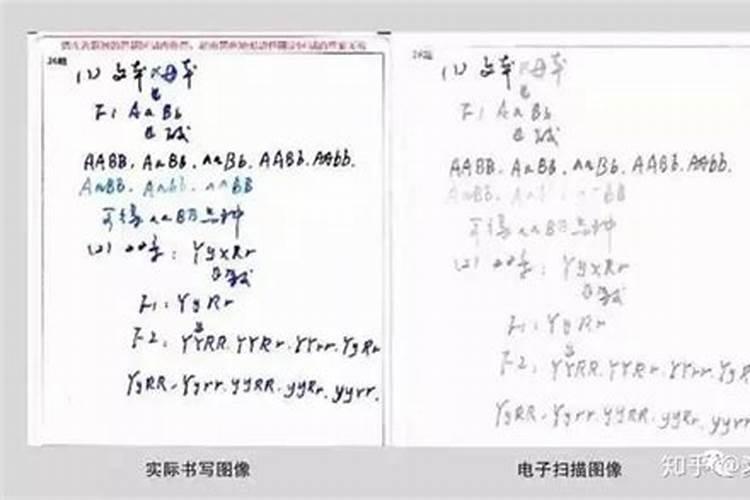 梦到老师改卷作业