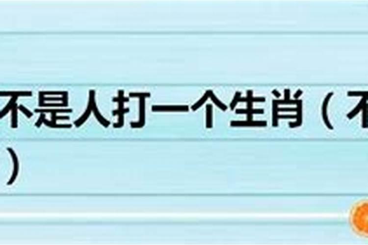 不三不四凑一起,天下大乱它最静是什么生肖意思