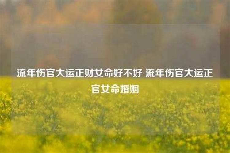 流年伤劫怎么化解