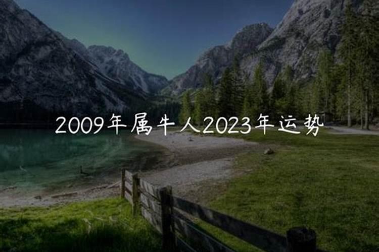 2009年属牛2023年运势及运程每月运程