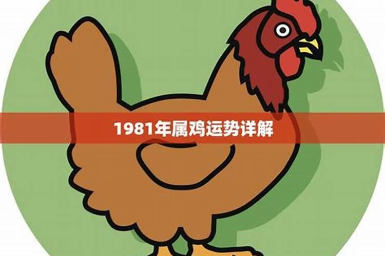 1981属鸡今年运势2023年运势