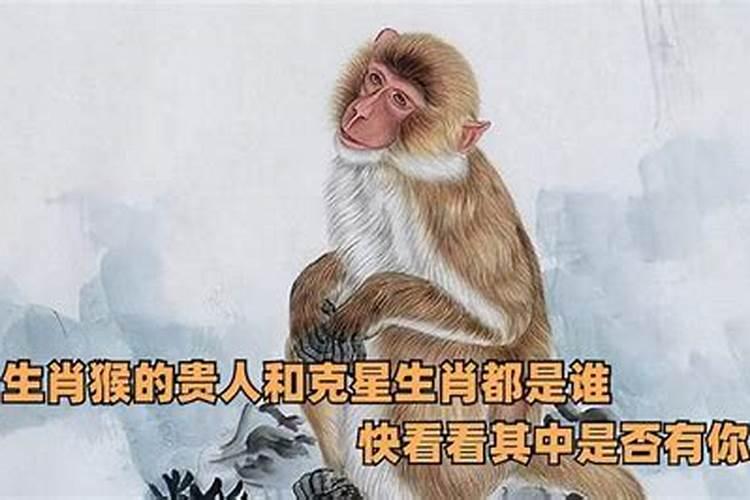 属猴一生的贵人和克星