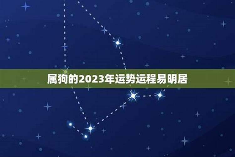 属狗2023年运势如何易安居