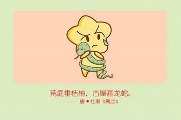 属蛇爸爸能生虎宝宝吗