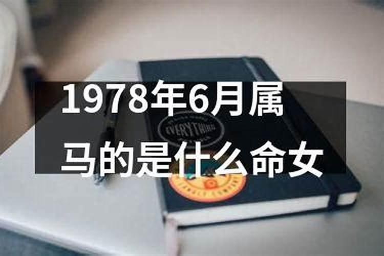 1978年属马的女性是什么命