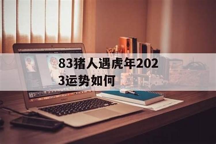 猪人逢虎年2023运势如何