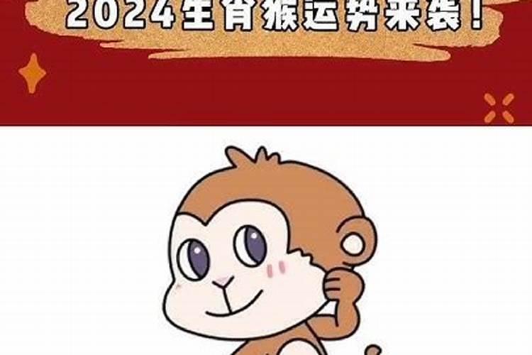 生肖猴2024年运势