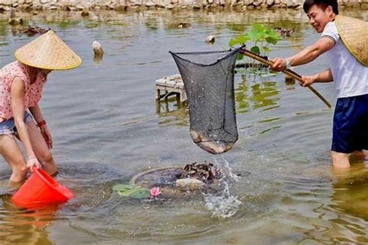 梦见发大水水库满了