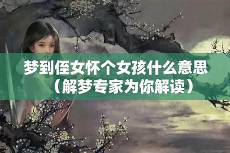 做梦梦见侄女是什么意思