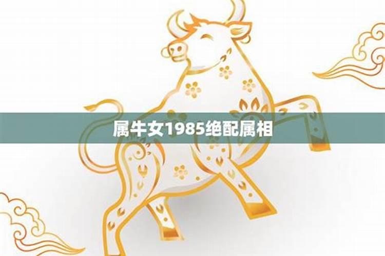 1985属牛的和什么属相婚配