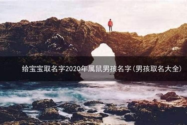 2020年属鼠一生命运