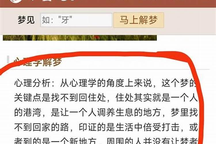 梦到找不到回家的路是什么意思