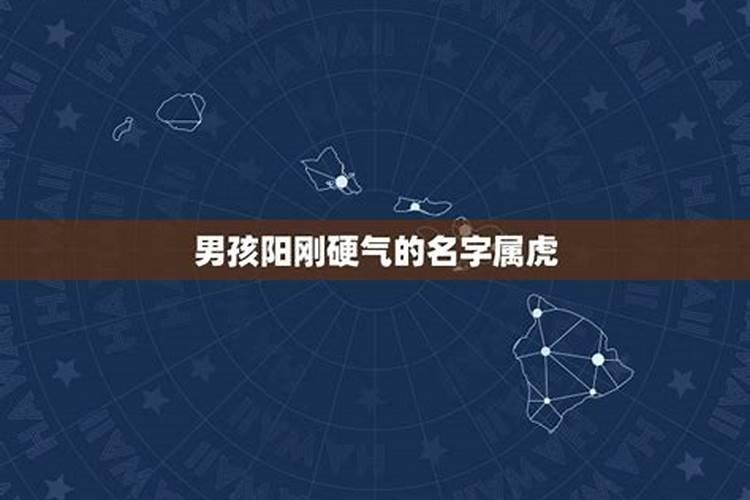 高雅霸气男孩名字属猪