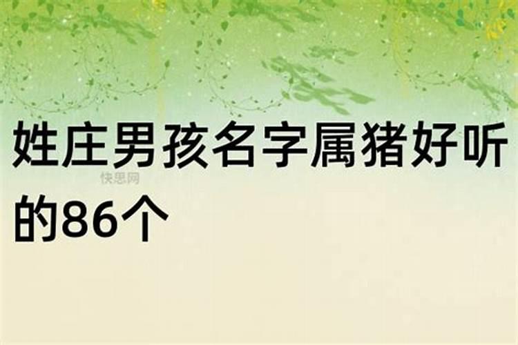 高雅霸气男孩名字属猪