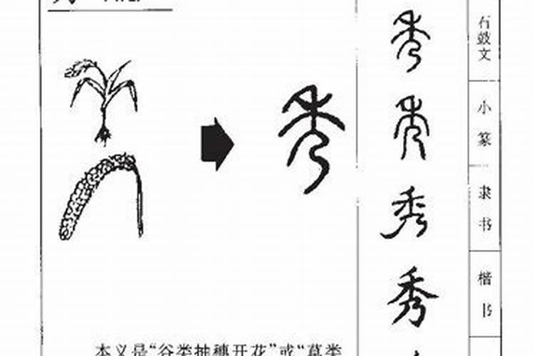 秀字五行到底属什么