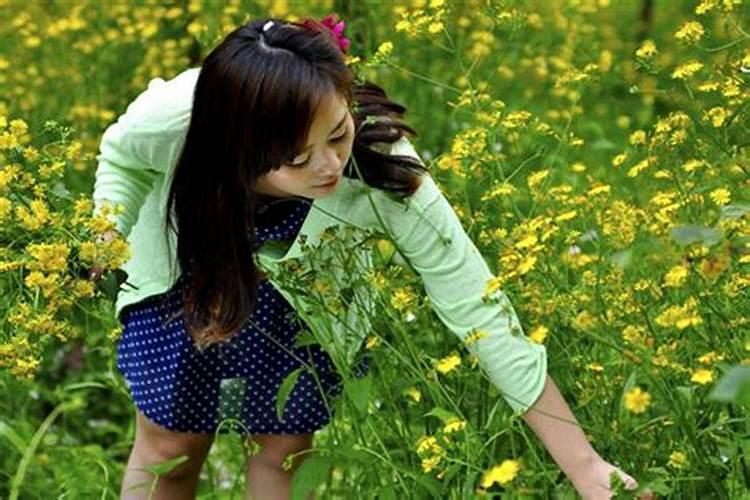 戌时出生属虎女今年财运如何