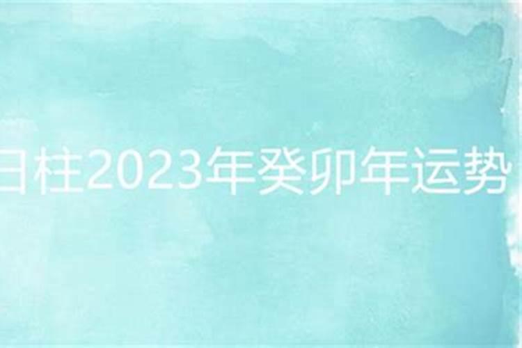 壬子日2023年运势