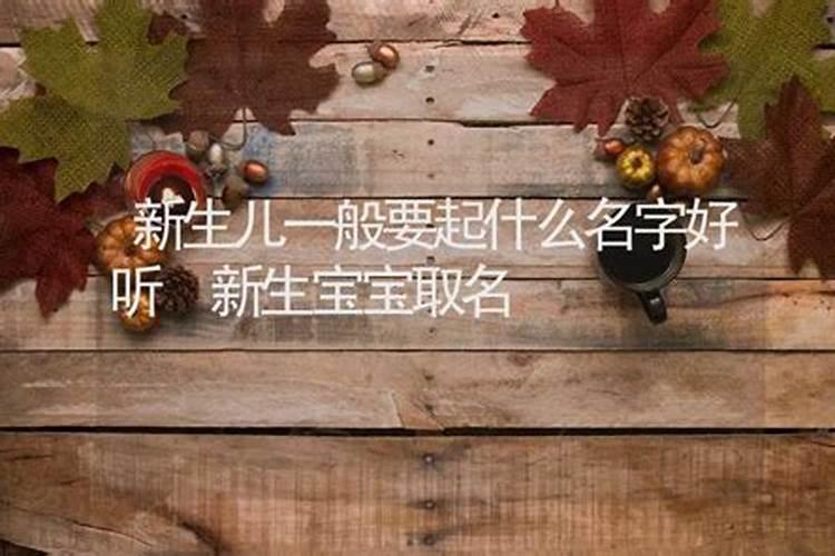 属狗的要起什么名字