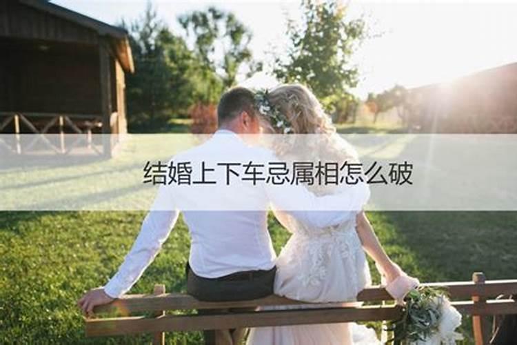 结婚方属相有什么破法