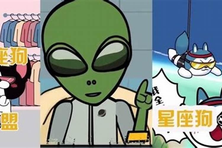 播放星座狗的星座使命