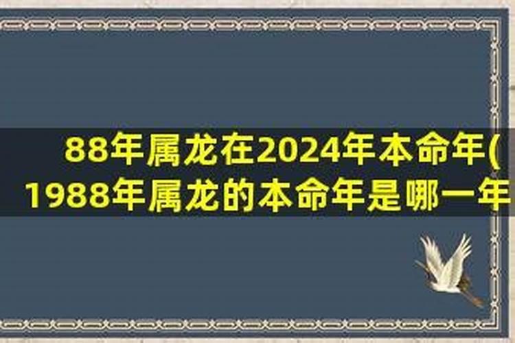 1988年的本命年是