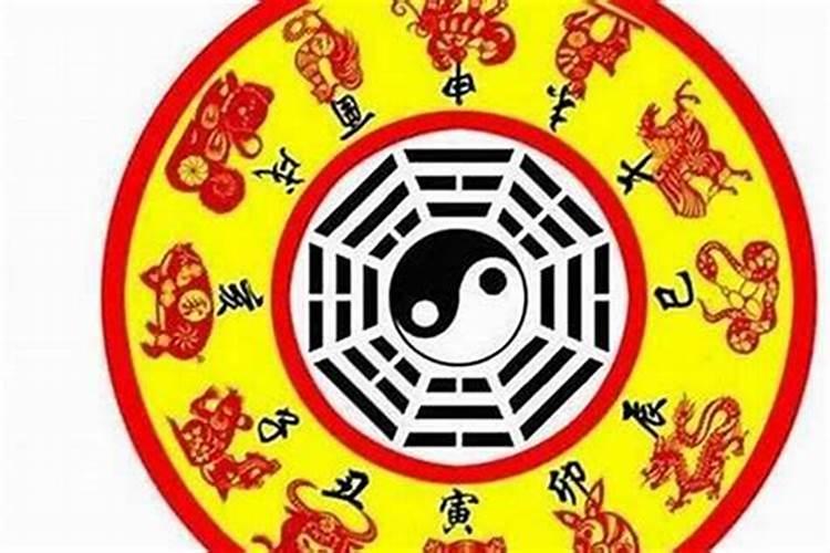 81年属鸡的人今年的身体怎么样