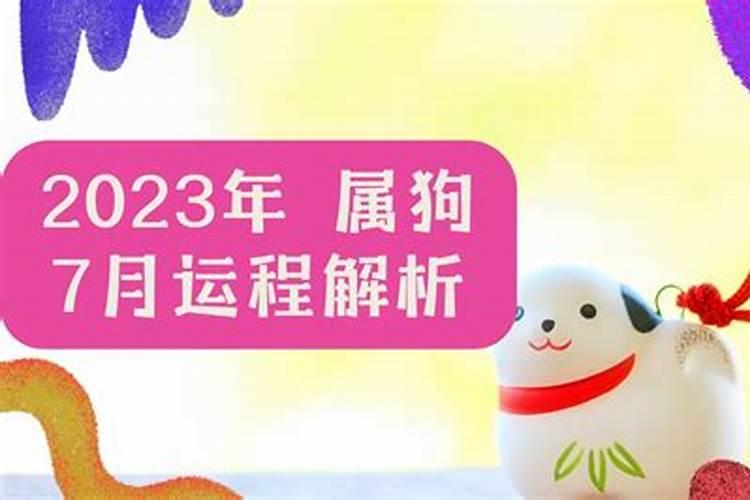 属狗的今年运势怎么样7月份