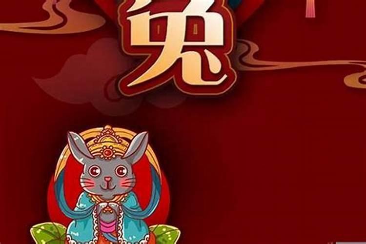 属兔的今年阳历12月的运势如何