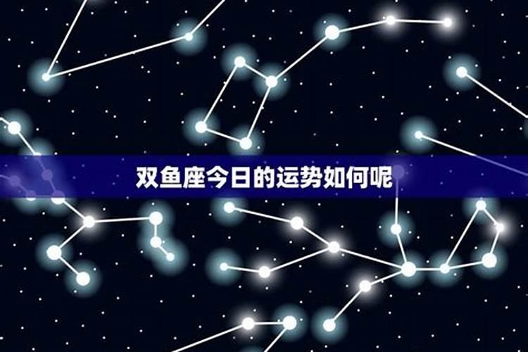 什么星相预示财运最好运呢