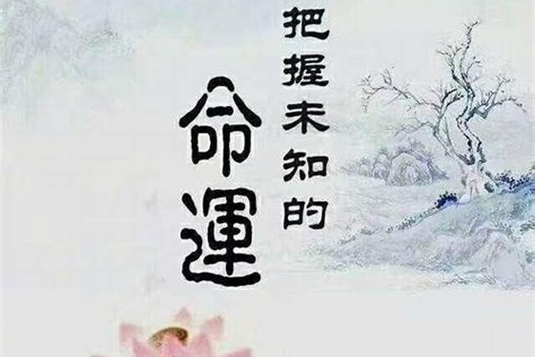 八字看感情复合