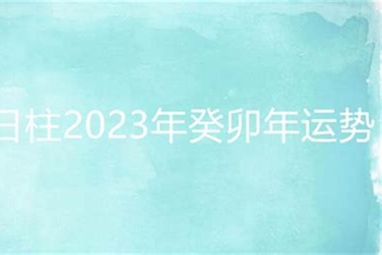 壬辰日2023年运势