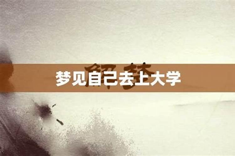 做梦梦见自己上大学是怎么回事儿