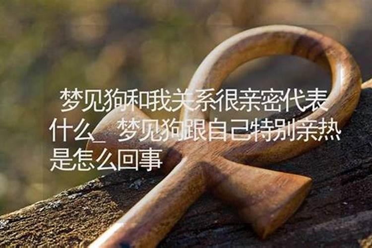 梦见狗跟我好是啥意思