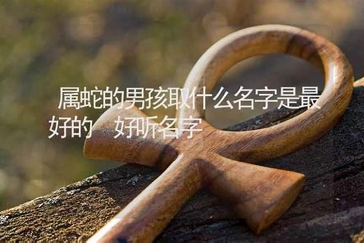 属相蛇取什么名字好