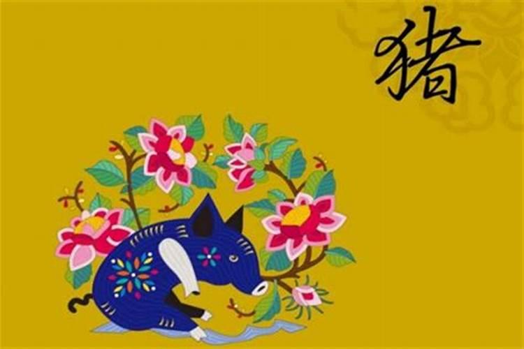 1995属猪女今年运势