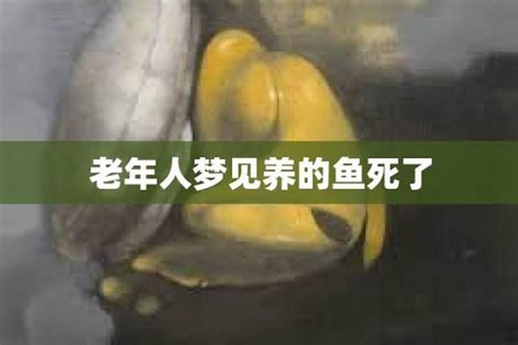 梦见我养的鱼死了一条什么意思