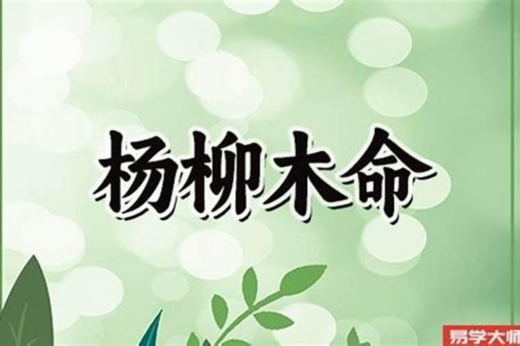 八字排盘如何算前一年的流年