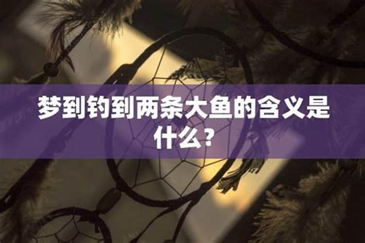 梦见自己钓到许多大鱼