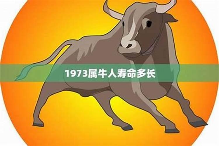 1973生肖牛的运势如何